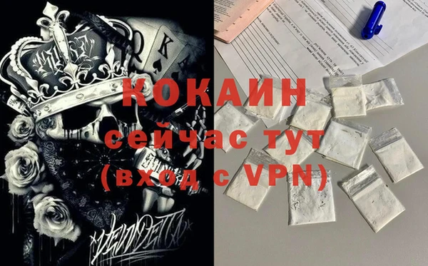 ешки Гусев