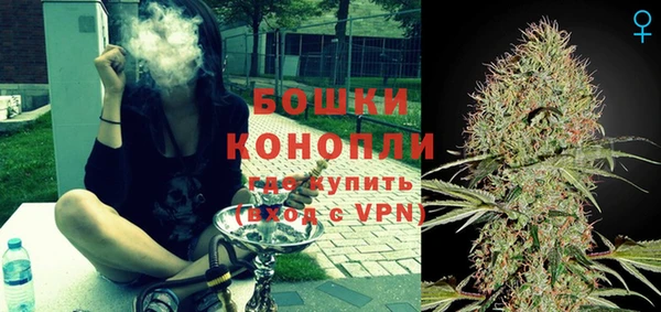 ПСИЛОЦИБИНОВЫЕ ГРИБЫ Гусиноозёрск