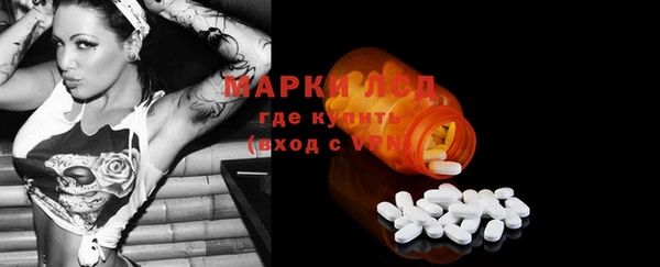 ешки Гусев
