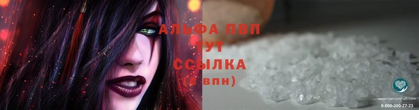 ешки Гусев
