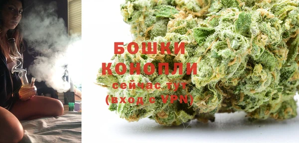 ПСИЛОЦИБИНОВЫЕ ГРИБЫ Гусиноозёрск