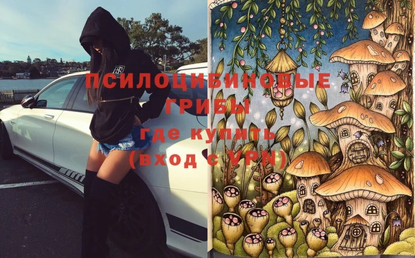 ешки Гусев