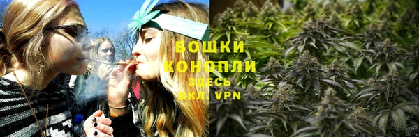 ПСИЛОЦИБИНОВЫЕ ГРИБЫ Гусиноозёрск